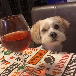 Meet your Posher, Gabriella